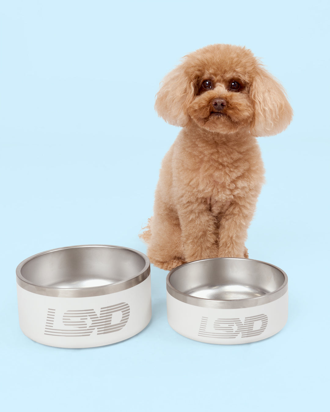 Pet Bowl Small (32oz) - Shale Beige - view 5