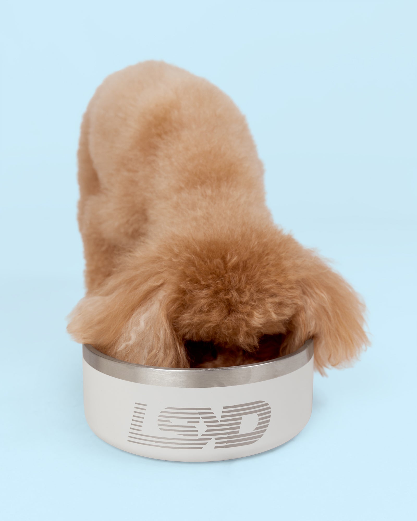Pet Bowl Large (64 oz - Shale Beige