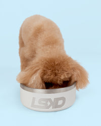 Pet Bowl Large (64 oz - Shale Beige | Thumbnail Index: 0