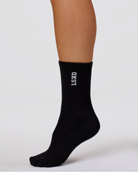 Studio image of The New Standard Crew Socks 3 Pack - Off White-White-Black | Thumbnail Index: 13